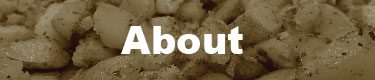 About_Banner-2-01