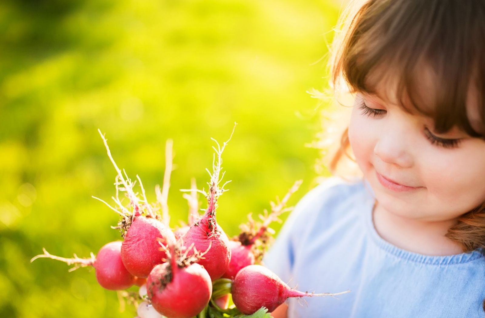 7 Seasonal Programs